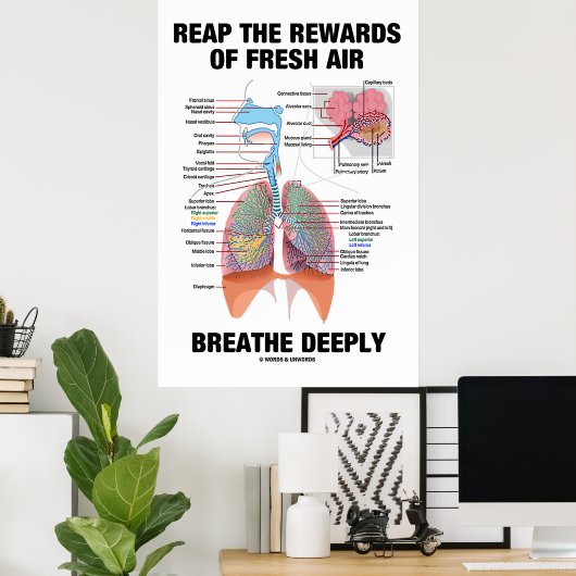 Nutzen Sie die Vorteile eines frischen Luftatmens Poster (Heimbüro)