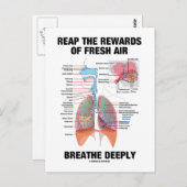 Nutzen Sie die Vorteile eines frischen Luftatmens Postkarte (Vorne/Hinten)