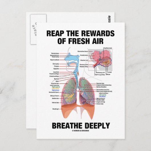 Nutzen Sie die Vorteile eines frischen Luftatmens Postkarte (Vorne/Hinten)