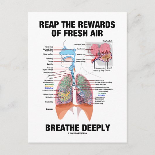 Nutzen Sie die Vorteile eines frischen Luftatmens Postkarte (Vorderseite)