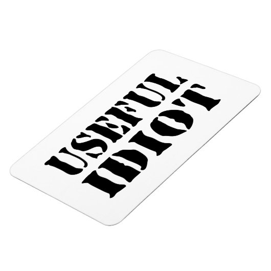 NÜTZLICHES IDIOT MAGNET (Linke Seite)