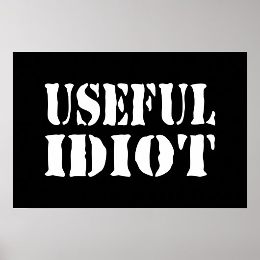 NÜTZLICHES IDIOT POSTER (Vorne)