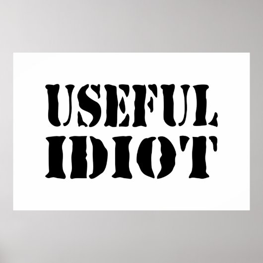 NÜTZLICHES IDIOT POSTER (Vorne)