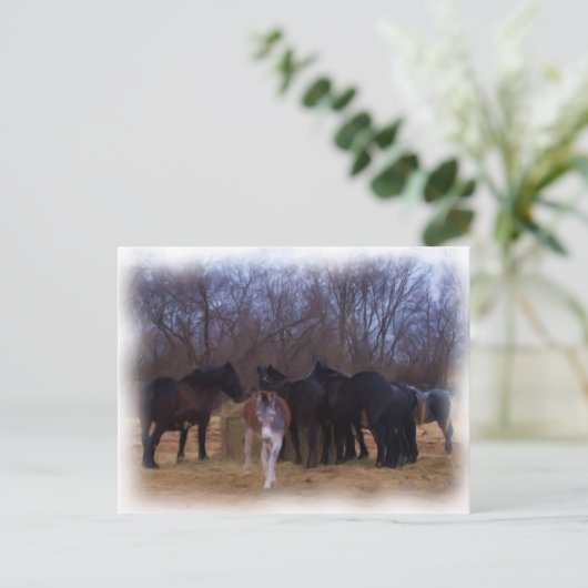 Nutztiere Postkarte (Stehend Vorderseite)