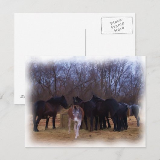 Nutztiere Postkarte (Vorne/Hinten)