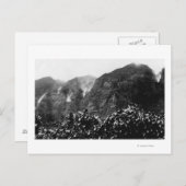 Nuuanu Tal, Hawaii - Aussicht auf Herbst Postkarte (Vorne/Hinten)