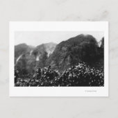 Nuuanu Tal, Hawaii - Aussicht auf Herbst Postkarte (Vorderseite)