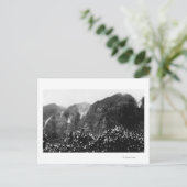 Nuuanu Tal, Hawaii - Aussicht auf Herbst Postkarte (Stehend Vorderseite)