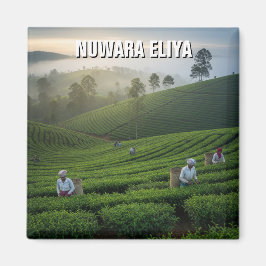 Nuwara Eliya Tea Plantation Sri Lanka Magnet
