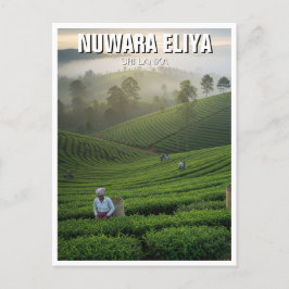 Nuwara Eliya Tea Plantation Sri Lanka Postkarte
