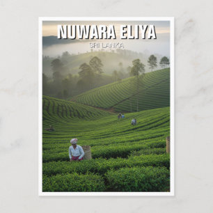 Nuwara Eliya Tea Plantation Sri Lanka Postkarte