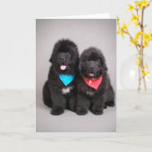 Nuwfie Brüder Karte (Gelbe Blume)