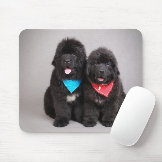 Nuwfie Brüder Mousepad (Mit Mouse)