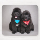 Nuwfie Brüder Mousepad (Vorne)