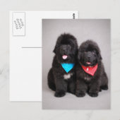 Nuwfie Brüder Postkarte (Vorne/Hinten)