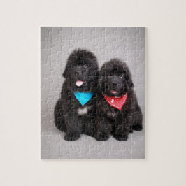 Nuwfie Brüder Puzzle