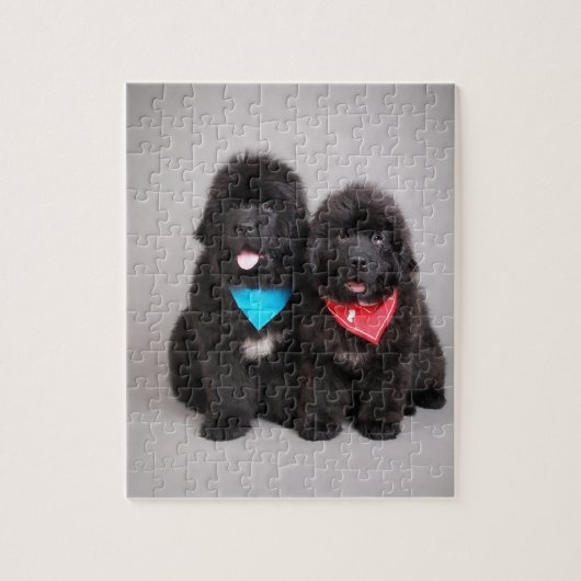 Nuwfie Brüder Puzzle (Vertikal)