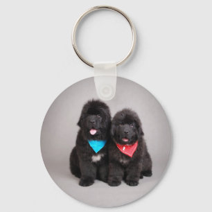 Nuwfie Brüder Schlüsselanhänger