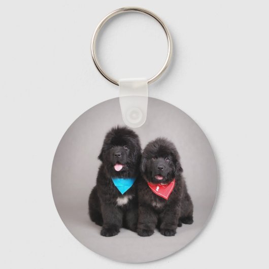 Nuwfie Brüder Schlüsselanhänger (Vorderseite)