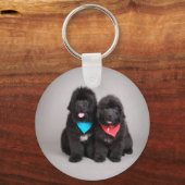 Nuwfie Brüder Schlüsselanhänger (Vorderseite)