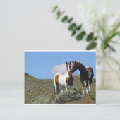 Nuzzling Pferde Postkarte (Stehend Vorderseite)