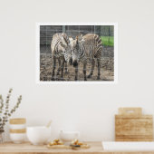 Nuzzling Zebras Poster (Küche)