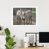 Nuzzling Zebras Poster (Heimbüro)