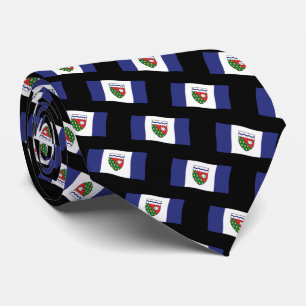 NWT Souvenir Krawatte NWT Flag Neckties & Geschenk