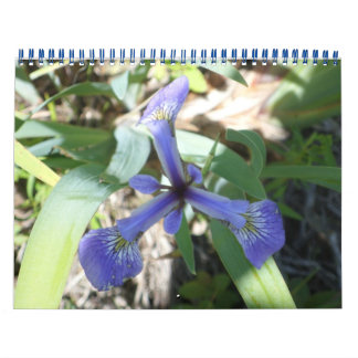 NY durch Fotos Kalender