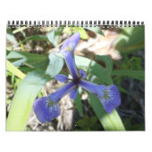 NY durch Fotos Kalender (Titelbild)