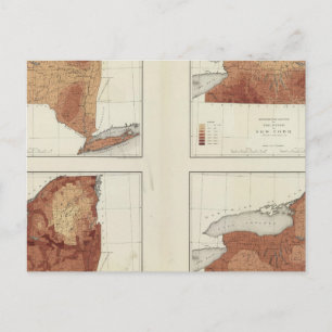 NY Regen, Population, Erhöhung, Temperatur Postkarte