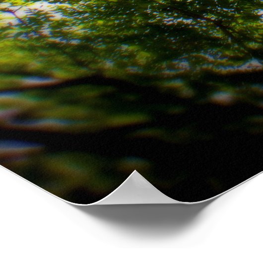 NY Trees Poster (Ecke)