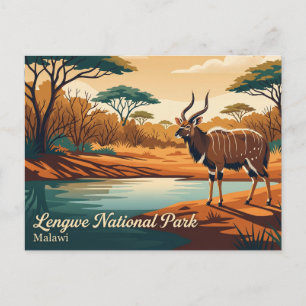 Nyala-Beobachtung, Lengwe-Nationalpark Malawi Postkarte