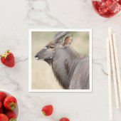 Nyala mit Oxpecker Serviette (Beispiel)