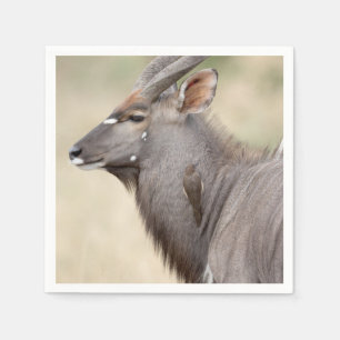 Nyala mit Oxpecker Serviette