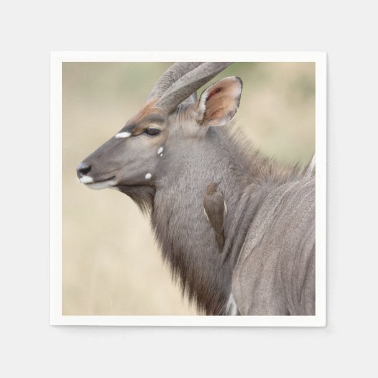Nyala mit Oxpecker Serviette (Vorderseite)