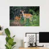 Nyala (Tragelaphus Angazii) mit Young, Ndumo Poster (Heimbüro)