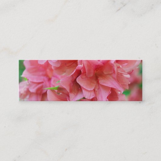 NYBG: Nr. 116 Mini Visitenkarte (Vorderseite)