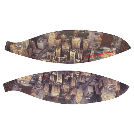 NYC BASKETBALL (Panele)