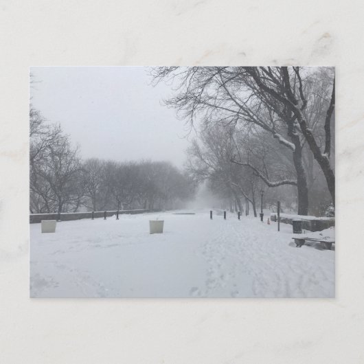 NYC Blizzard Upper West Side Riverside Park Snow Postkarte (Vorderseite)