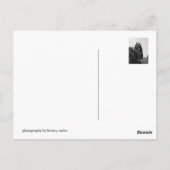 NYC Bryant Park Gebäude Postkarte (Rückseite)