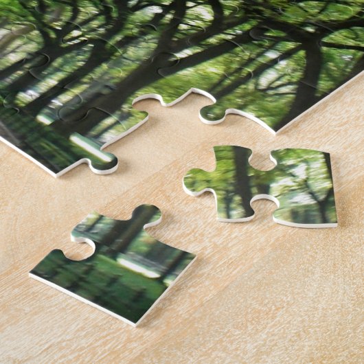 NYC Central Park-Baum-Tunnel Puzzle (Seite)