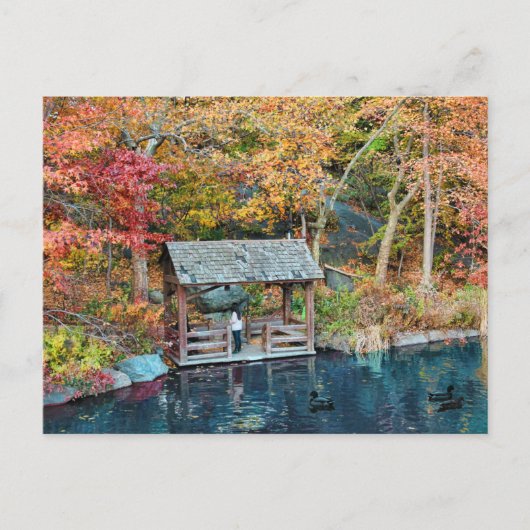 NYC Central Park Herbst, The Lake & Little Dock Postkarte (Vorderseite)