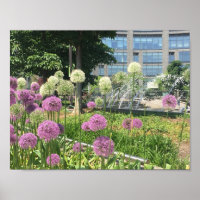 NYC Columbus Circle New York City Lila Allium