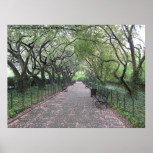 NYC Conservatory Garden Central Park New York City Poster