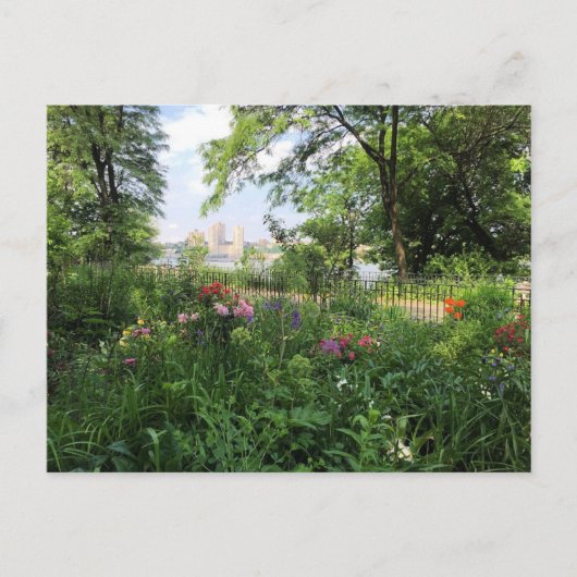 NYC Riverside Park Hudson River New York Postcard Postkarte (Vorderseite)