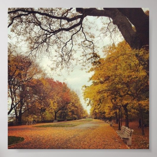 NYC Riverside Park New York Herbst Kunst Poster (Vorne)