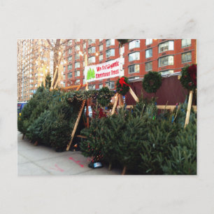 NYC Weihnachtsbaum Stand Upper West Side Manhattan Feiertagspostkarte