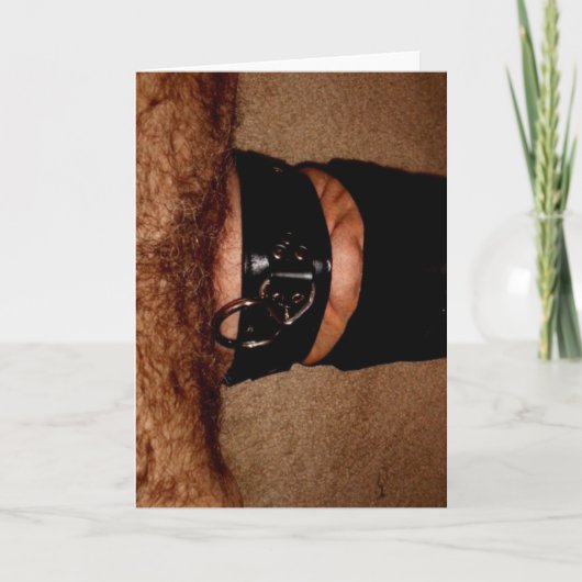 NYLONS UND KRAGEN FEIERTAGSKARTE (Vorderseite)