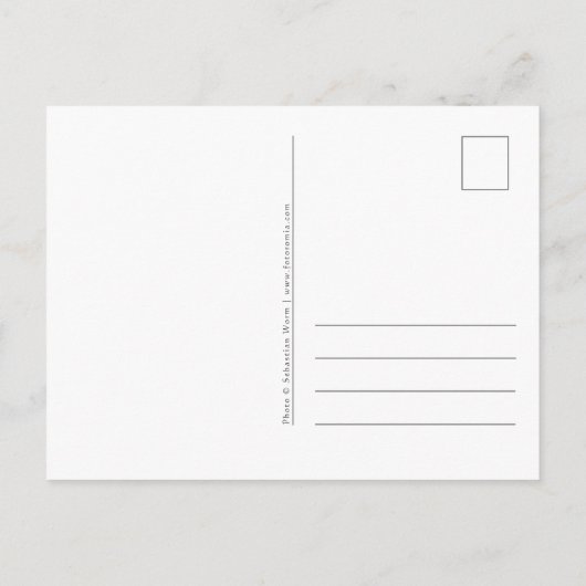 Nymindegab Strand Postkarte (Rückseite)